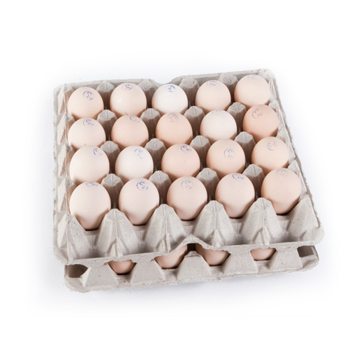 Яйцо домашнее пищевое