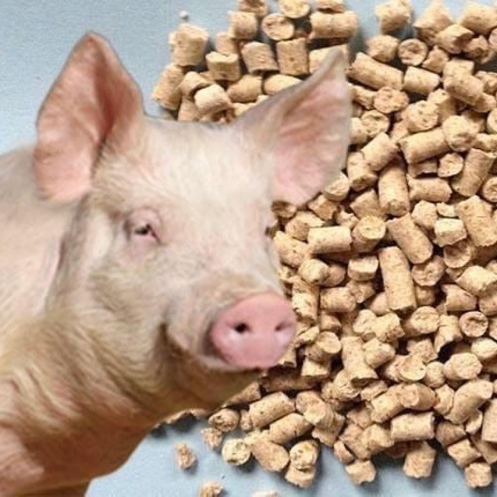 Комбикорм КК-55 для откорма свиней  до жирных кондиций  Калинковичихлебопродукт , 30кг