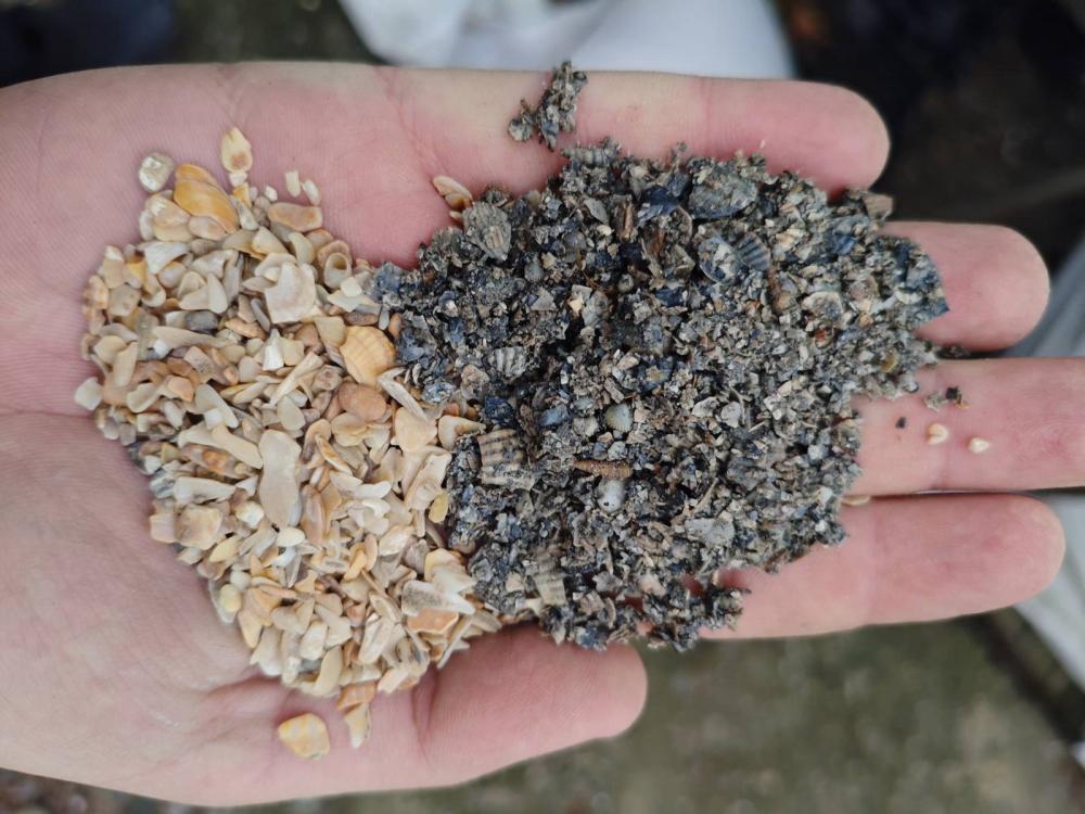 Ракушка морская кормовая серая, фр. 0,3 - 5,0мм, фасовка по 5кг