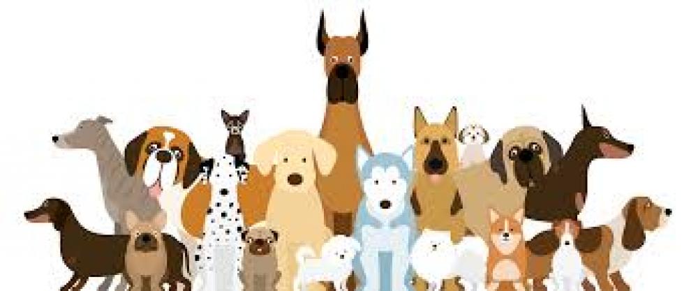 Комбикорм для собак ПК-150,  Пуховичи КХП , 10кг