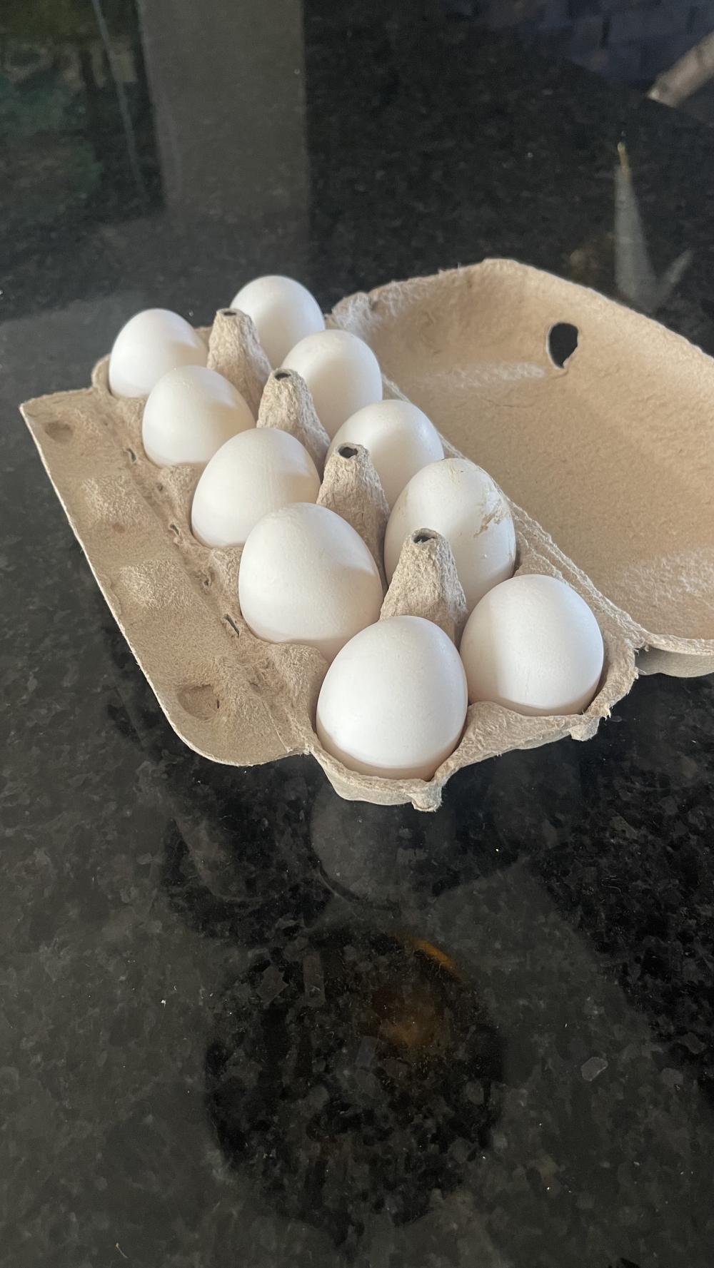 Яйцо инкубационное от кур несушек породы Борковская Барвистая.