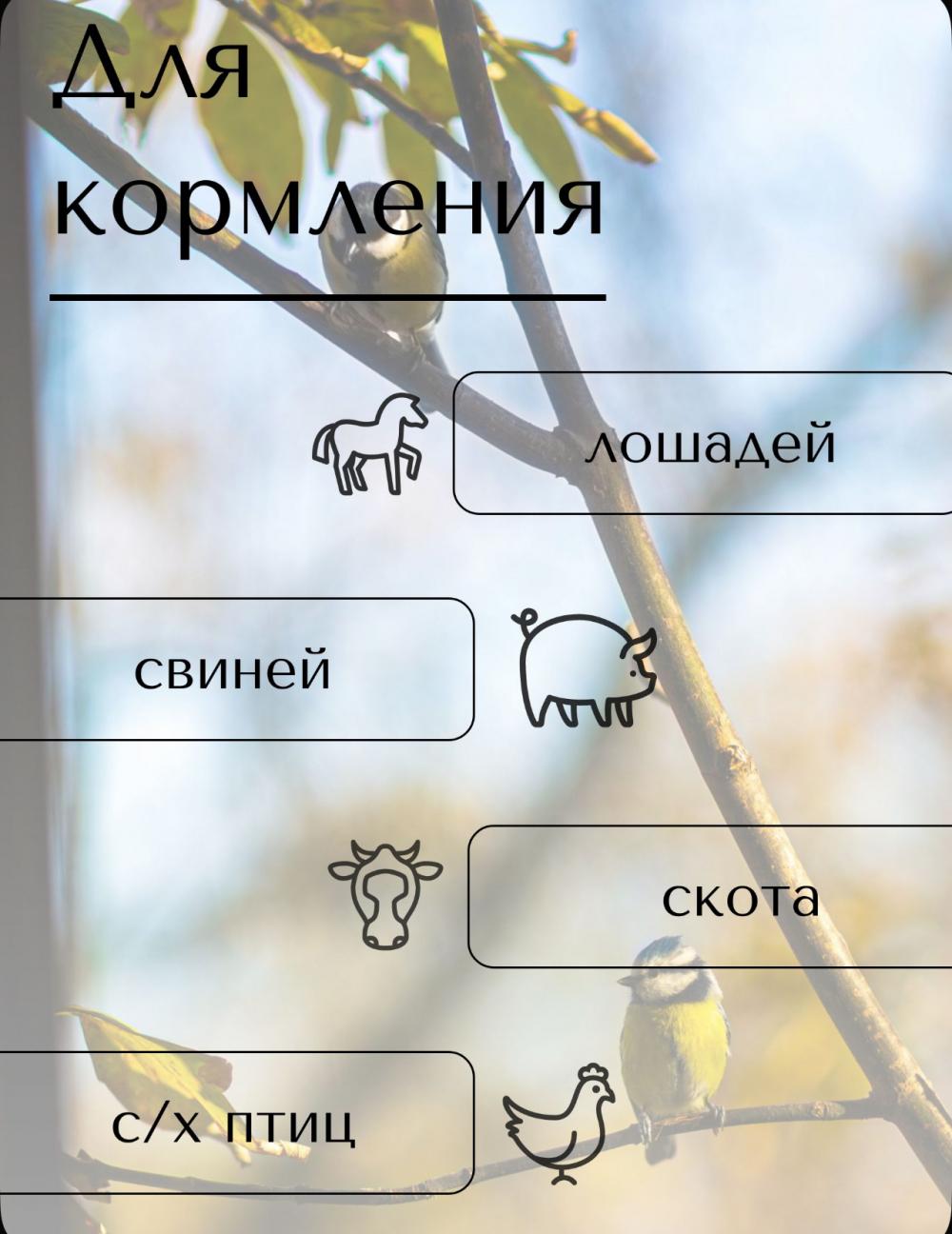 Отруби пшеничные для животных, 20кг