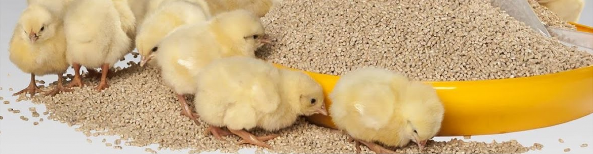 Полнорационные комбикорма для цыплят от 0. 